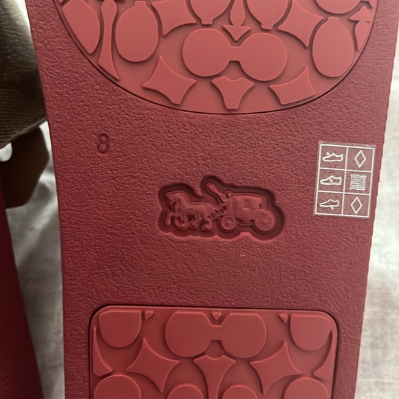 Coach slides - Picture 3 of 4